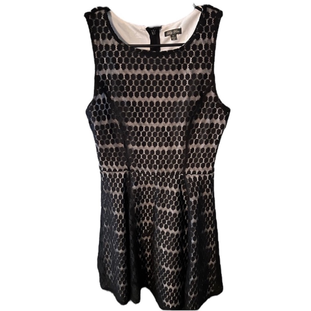 ๐ป5 for $25๐ป Lily Rose Sheer Lace Dress